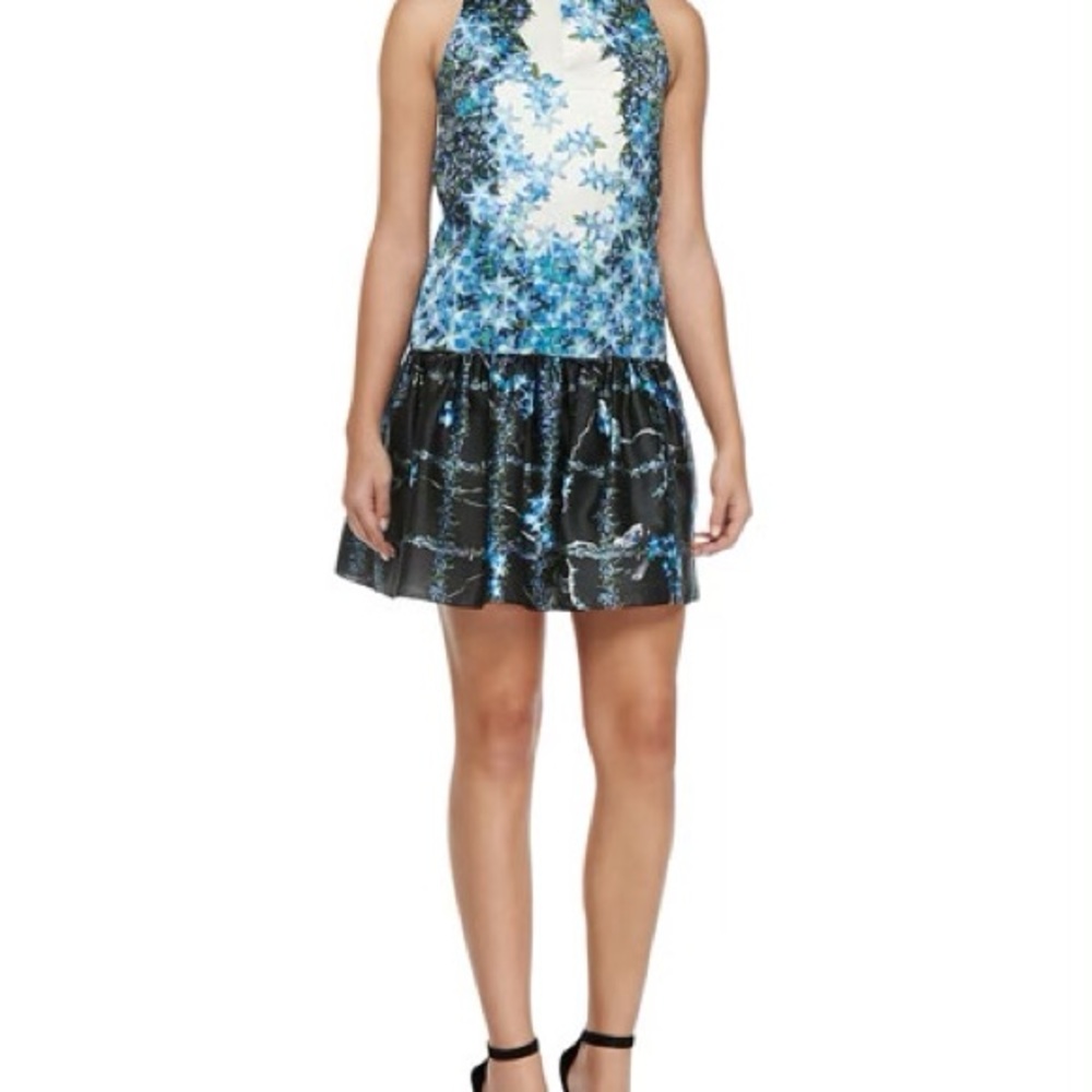 Tibi Sidewalk Floral Dropped-Waist Dress Size 4